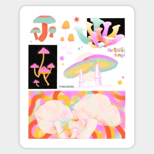 Fantastic Funghi Sticker